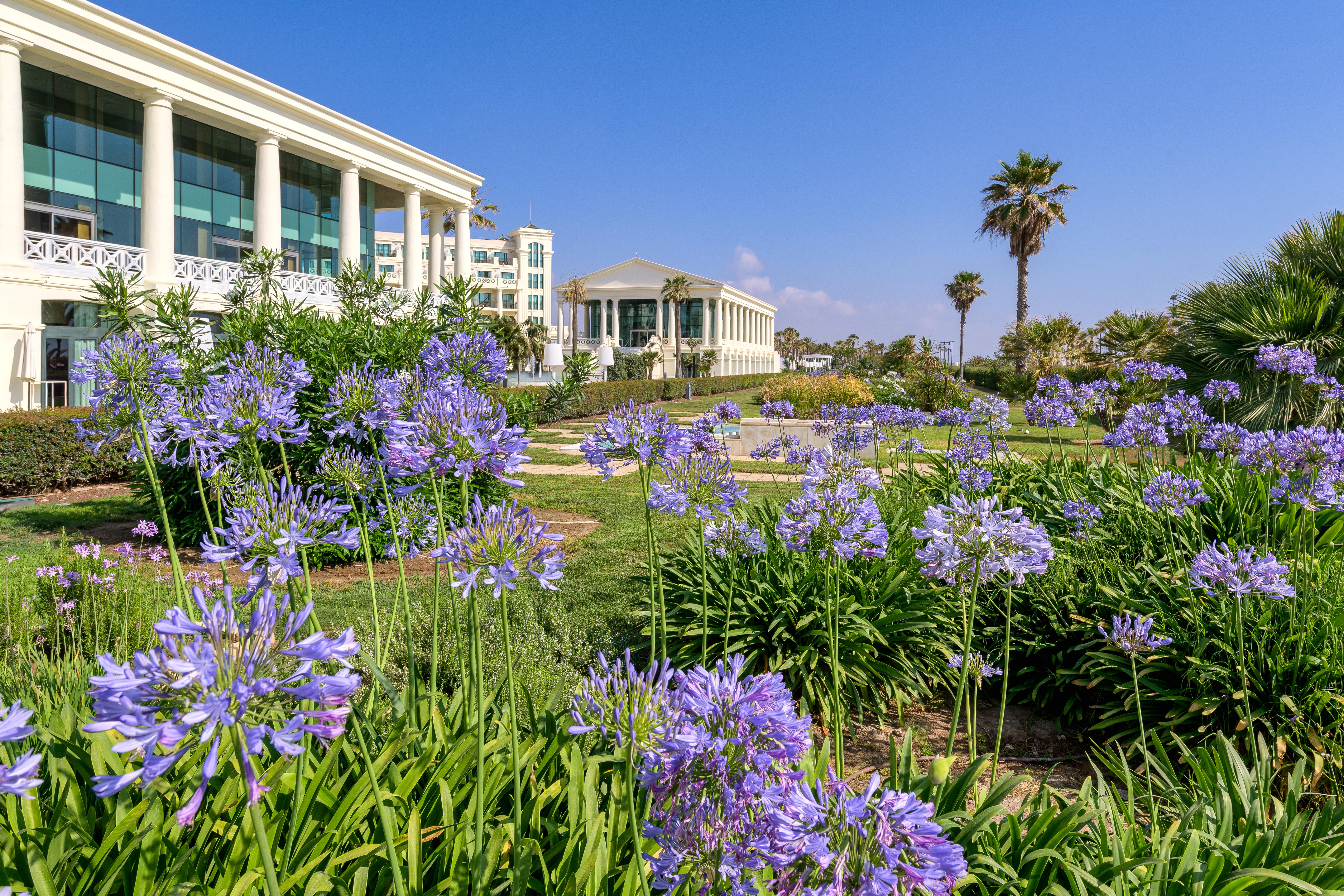 Las Arenas Balneario Resort Valenza Esterno foto The campus of the University of Cyprus